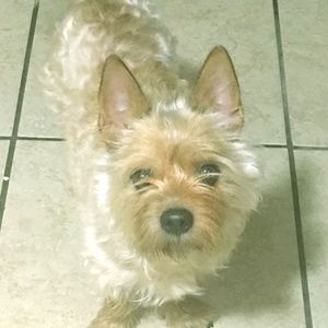 Meet your Posher, Maricela